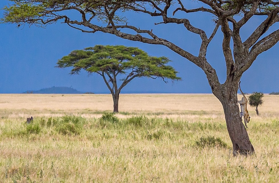 Serengeti National Park