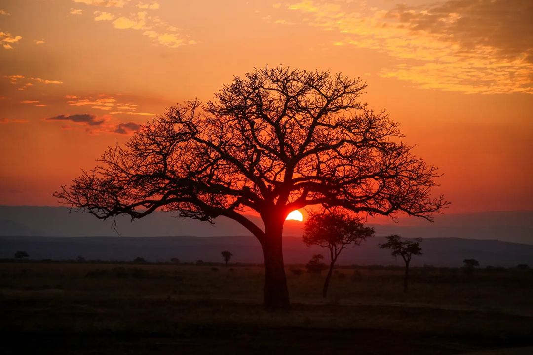 Tarangire National Park